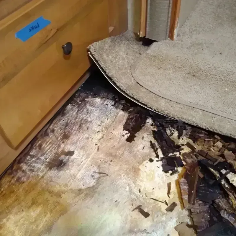 Best Wood Floor Water Damage Service in Beadle County, SD